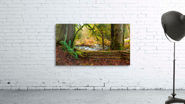 Serpentine Fen  8 Wall Preview