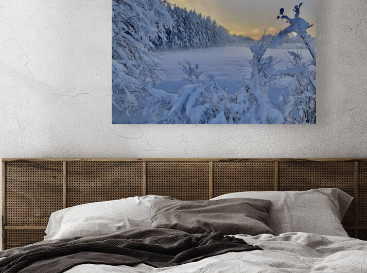 Winter Wonderland by Alberto Varela