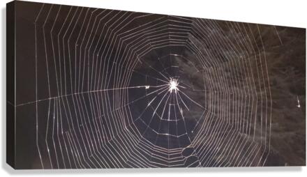 Spider web Canvas Print