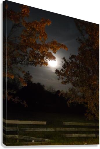 Moon Pic 3 Canvas Print