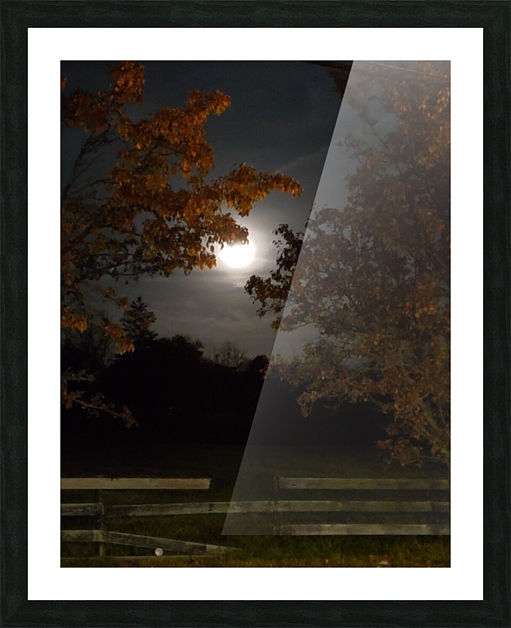 Moon Pic 3 Picture Frame print