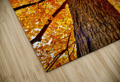 Tree Casey Ann Croucher puzzle