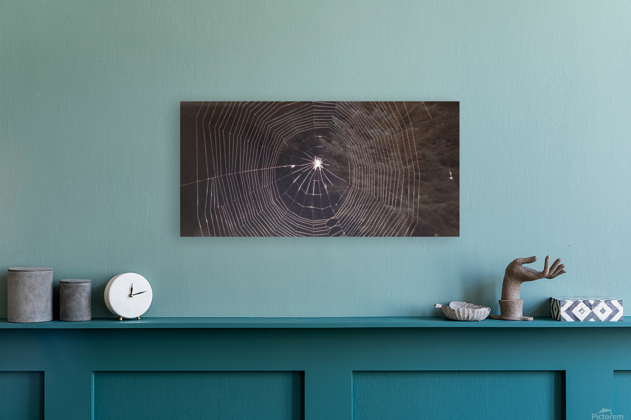 Spider web Reproduction