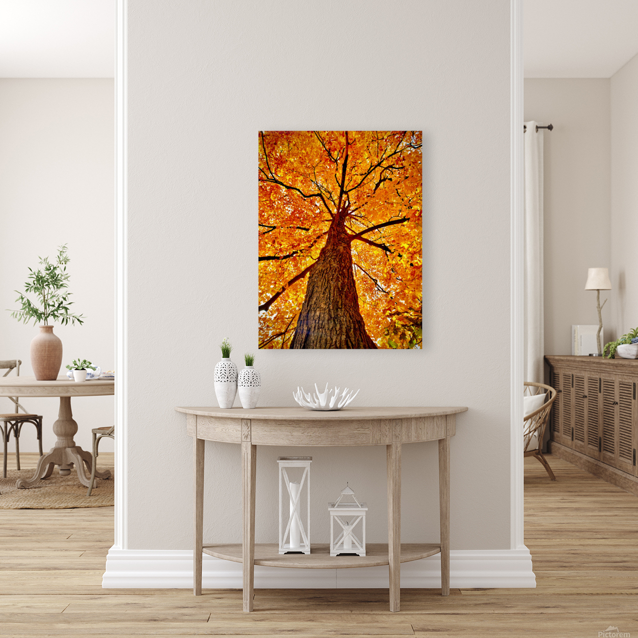 Tree Reproduction