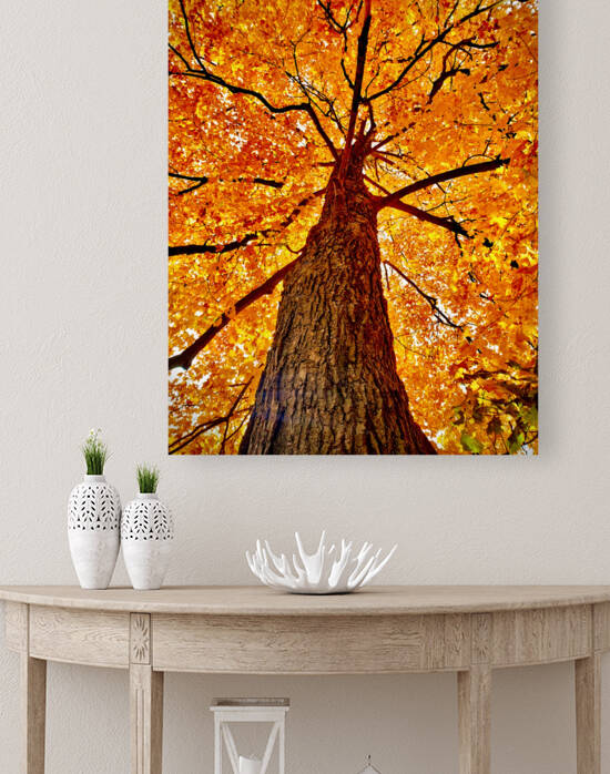 Tree by Casey Ann Croucher