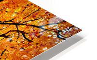 Tree HD Metal print