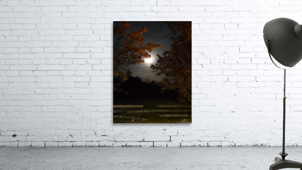 Moon Pic 3 Wall Preview