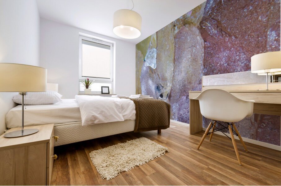 Zharok Mural print