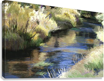 virginia cascade autumn Canvas Print