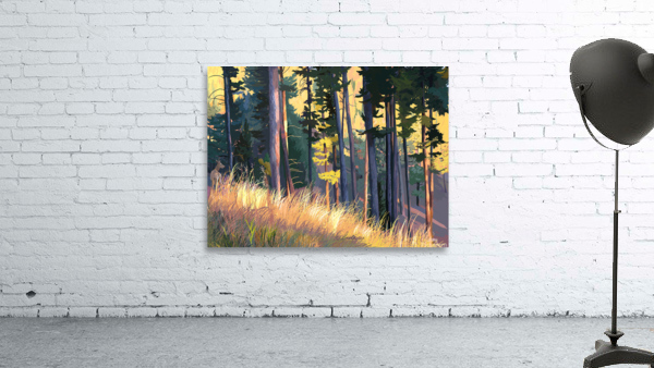 fall alpenglow trees grasses Wall Preview