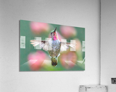 Annas Angel Acrylic Print