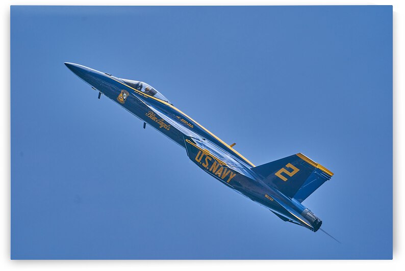 Blue Angels 9999 by RaphaelXOX