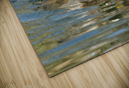 Mallard Romance RaphaelXOX puzzle
