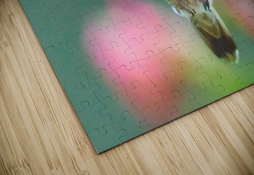 Annas Angel RaphaelXOX puzzle