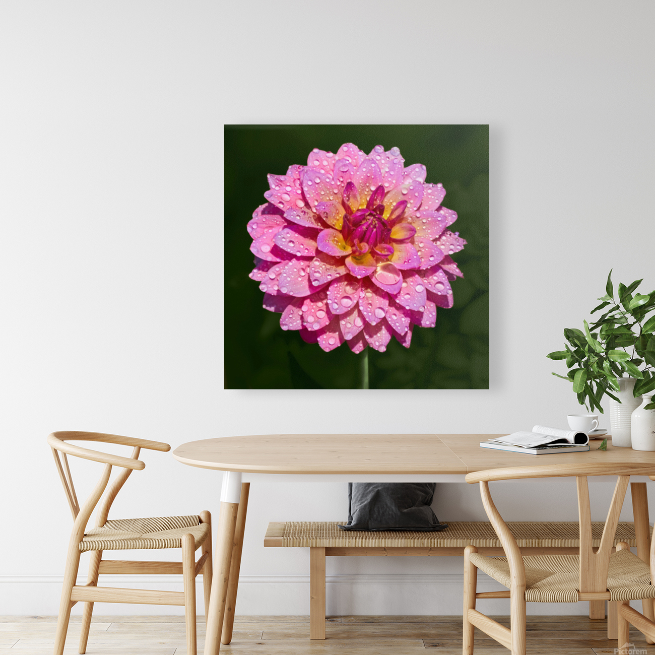 Dahlia Delicious Reproduction