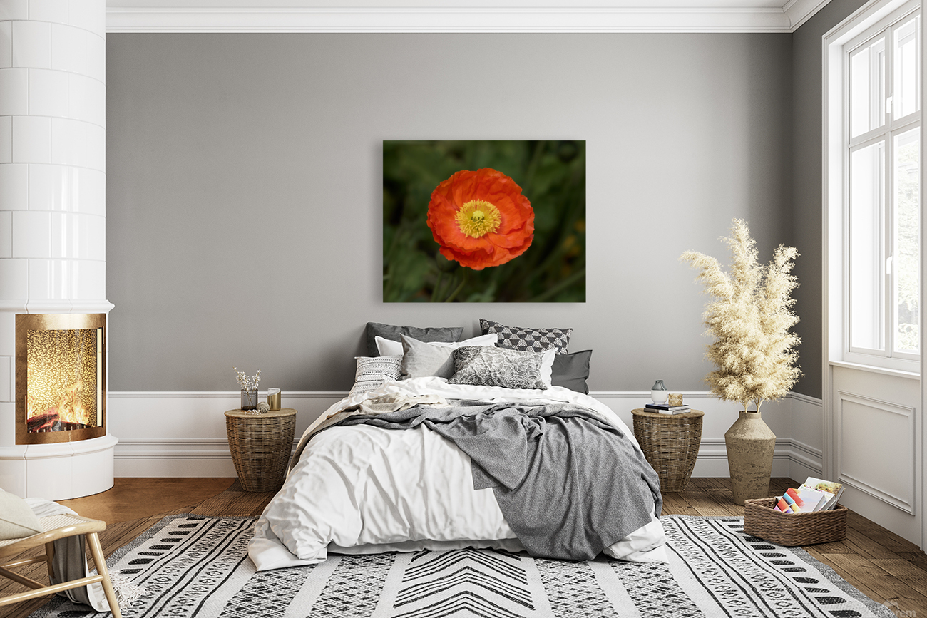 Poppy Perfect Reproduction