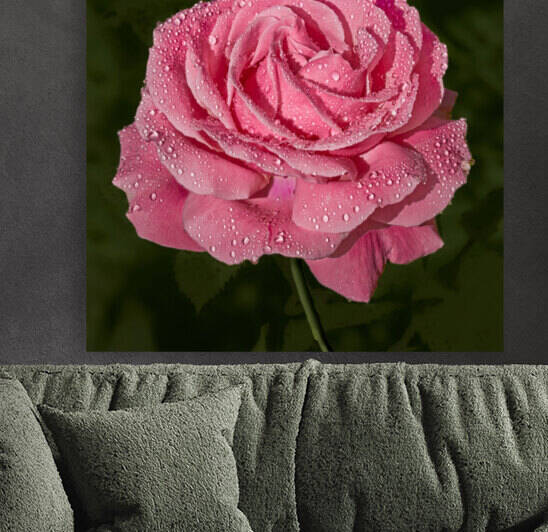 Rose Marie by RaphaelXOX