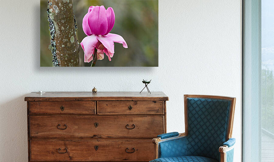 Magnolia In The Woods by RaphaelXOX
