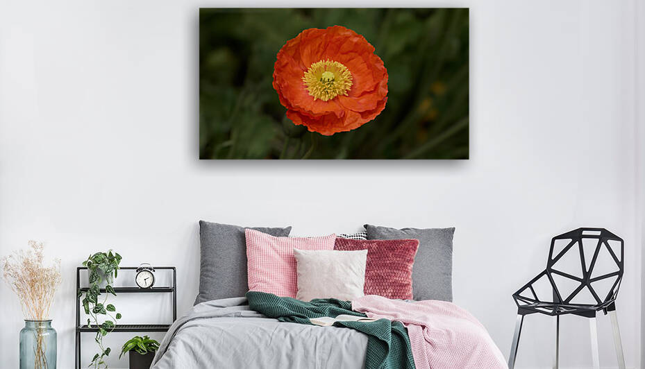Poppy Perfect by RaphaelXOX