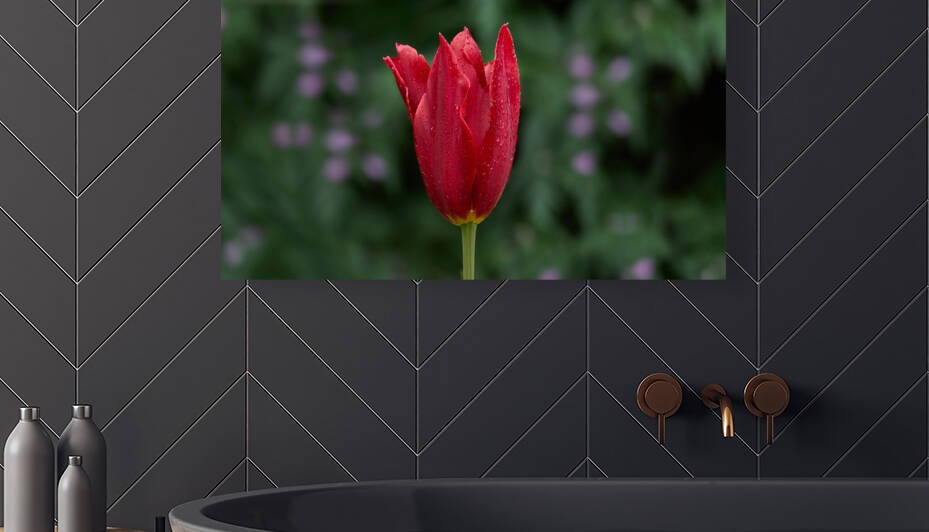Tulip Apotheosis by RaphaelXOX