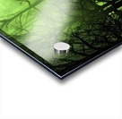 Green Grove Acrylic print