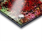 Red Trees Acrylic print