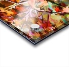Autumnal Tree 3 Acrylic print