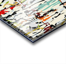 Pollock Wink 2 Acrylic print