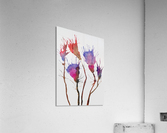 Floral Acrylic Print