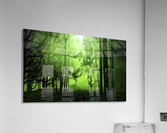 Green Grove Acrylic Print
