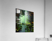 Magic Pond Acrylic Print