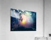 Beautiful Twilight Acrylic Print