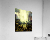 Misty Pond Acrylic Print