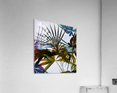 Tropical Foliage 2 Acrylic Print