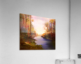 Woods and Creek Acrylic Print