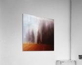 Rising Forms Acrylic Print