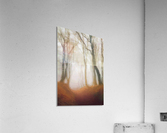 Grove Acrylic Print