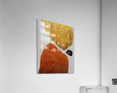 Organic Shapes Acrylic Print