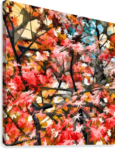 Autumnal Trees 4 Canvas Print