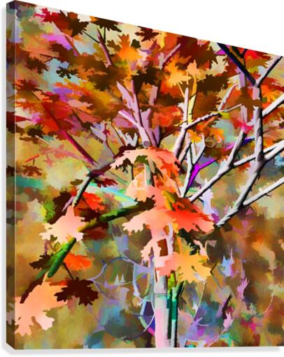 Autumnal Tree 3 Canvas Print