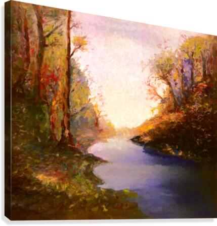 Woods and Creek Canvas Print
