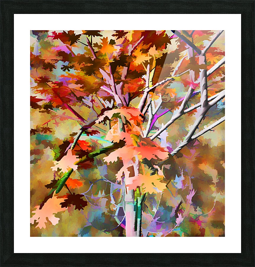 Autumnal Tree 3 Picture Frame print