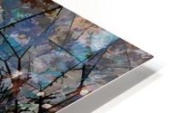 Blue Tree HD Metal print