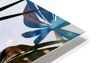 Tropical Foliage 2 HD Metal print