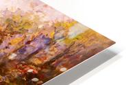 Woods and Creek HD Metal print