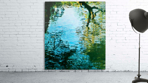 Nature reflections Wall Preview
