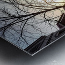 1760099995057 bfbed0411a5985b1416f68d1c7374221 2 Metal print