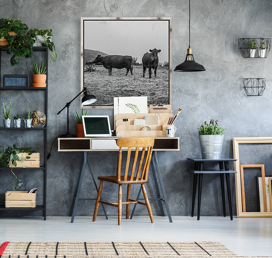Cows in the mist Reproduction