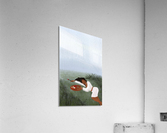 Freedom Painter Acrylic Print