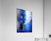 oshun Acrylic Print